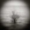 <br>Luca Lacche